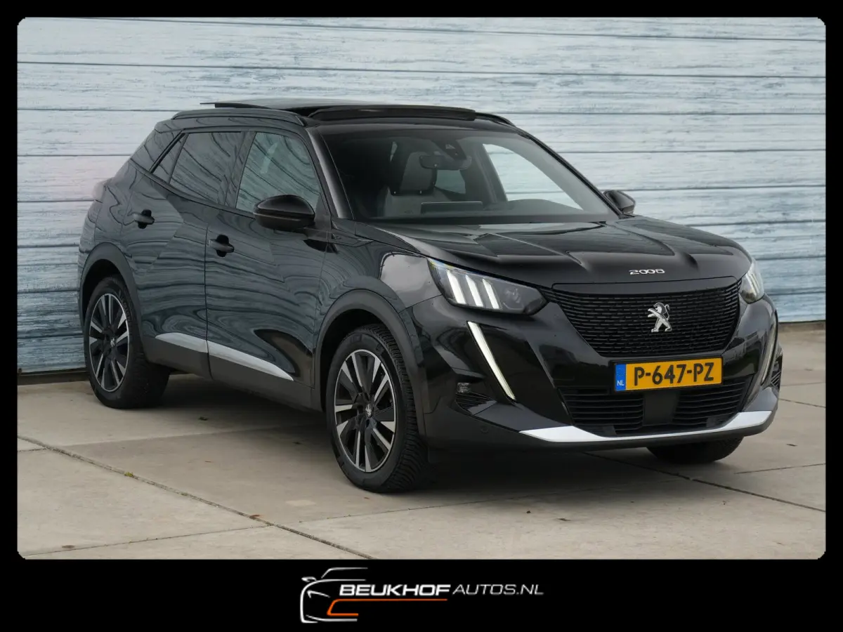 EV GT-Line 50 kWh Leer Panorama Leer Soh 91%