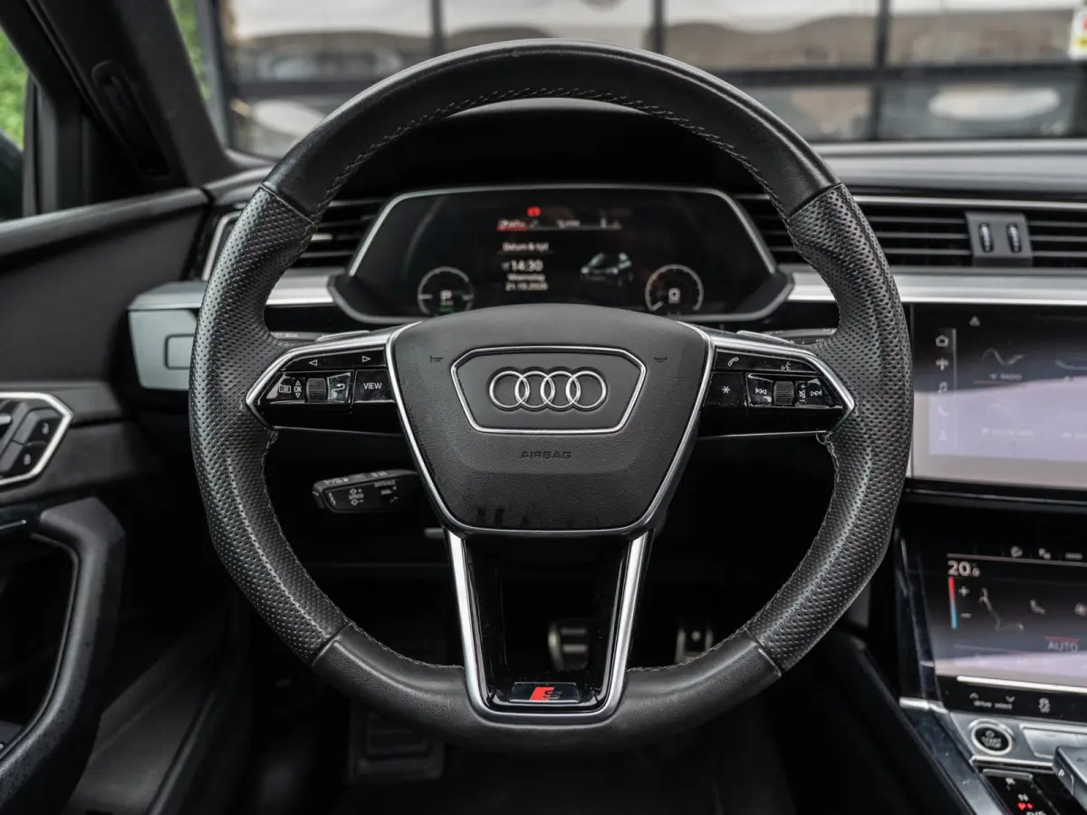 50 Quattro S Edition 95 kWh | SOH 92% | Pano | ACC | Dodehoek | Camera | BTW