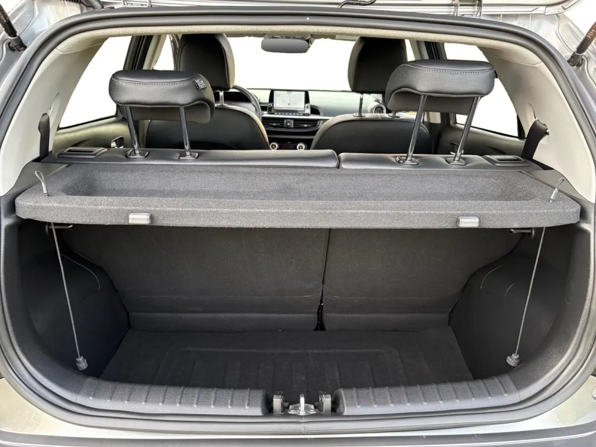 1.0 DPI GT-Line | Panoramadak | Camera | Stoel/Stuurverwarming | Apple Carplay/Android Auto | Adaptieve Cruise Control | Lichtmetalen Velgen |