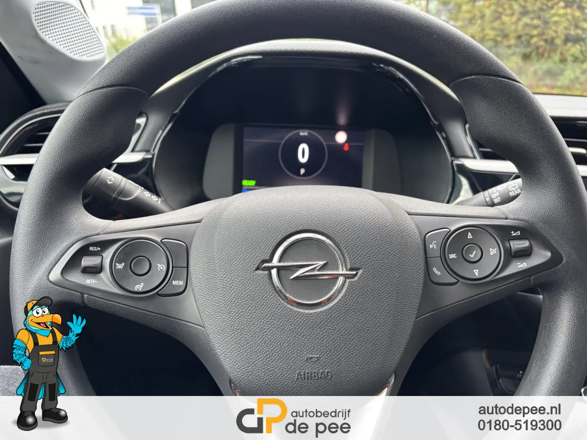 GS Line 50 kWh GARANTIE/SOH 83%/CRUISE/CLIMA/CARPLAY/EL.RAMEN/CV+AB rijklaarprijs!
