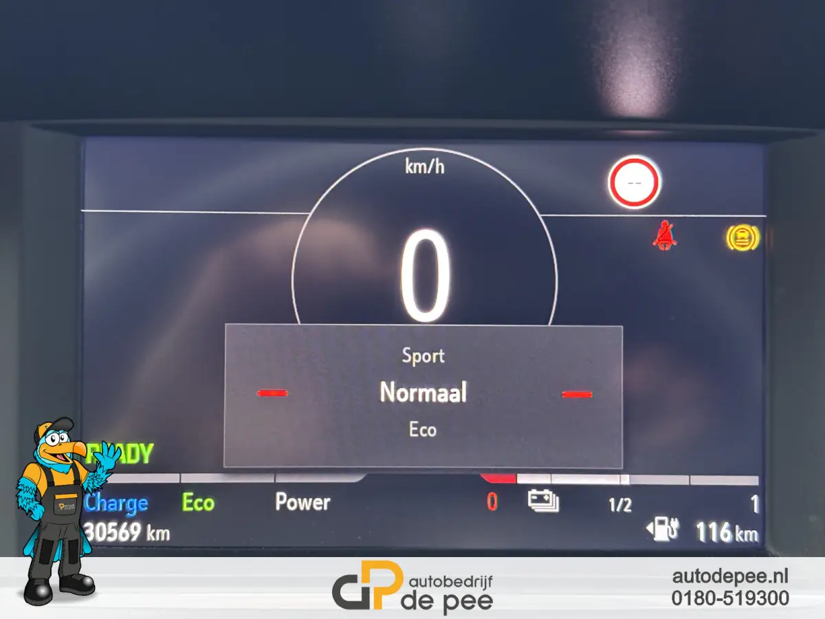 GS Line 50 kWh GARANTIE/SOH 83%/CRUISE/CLIMA/CARPLAY/EL.RAMEN/CV+AB rijklaarprijs!
