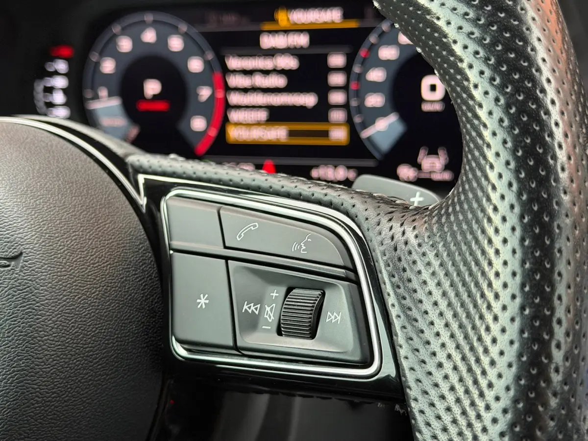35 TFSI 3x S-Line Carplay PDC ACC DAB 19"RS