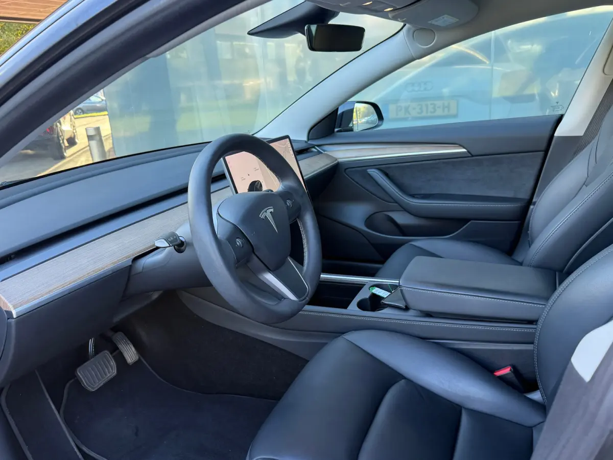 Standard RWD Plus 60 kWh LFP 93% SOH AUTOPILOT