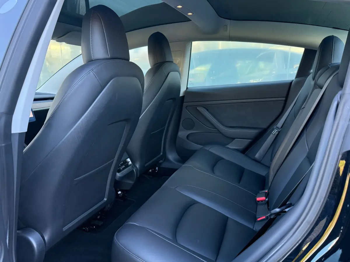 Standard RWD Plus 60 kWh LFP 93% SOH AUTOPILOT