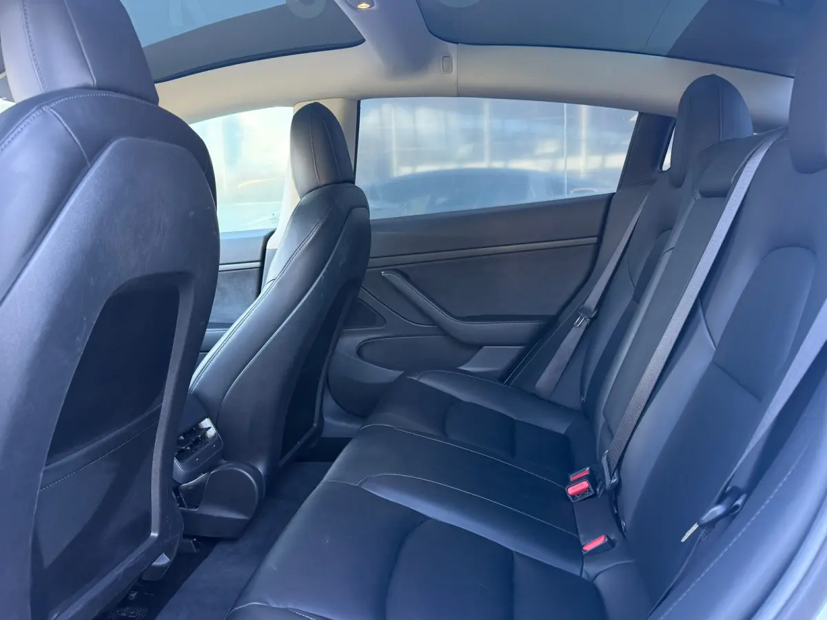 Standard RWD Plus 60 kWh 93% SOH LFP ACCU