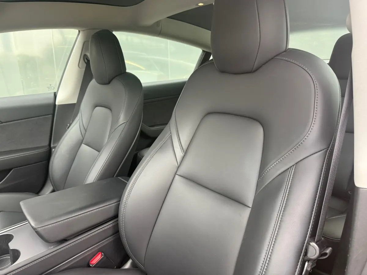 Standard RWD Plus 60 kWh 92% SOH LFP ACCU FACELIFT
