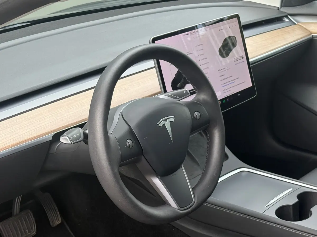 Standard RWD Plus 60 kWh 92% SOH LFP ACCU FACELIFT