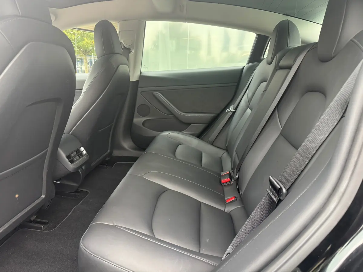 Standard RWD Plus 60 kWh 92% SOH LFP ACCU FACELIFT