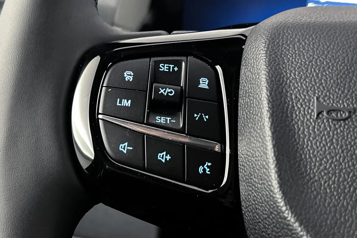 320 2.5 PHEV L2H1 Limited | Trekhaak uitklapbaar | Stoelverwarming
