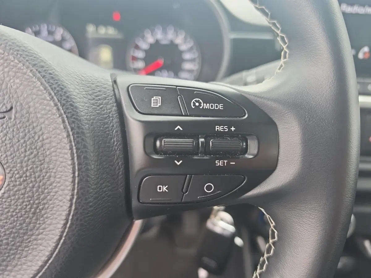 1.0 DPi DynamicLine | Parkeer camera achter | Cruise Control | Apple Carplay/Android Auto