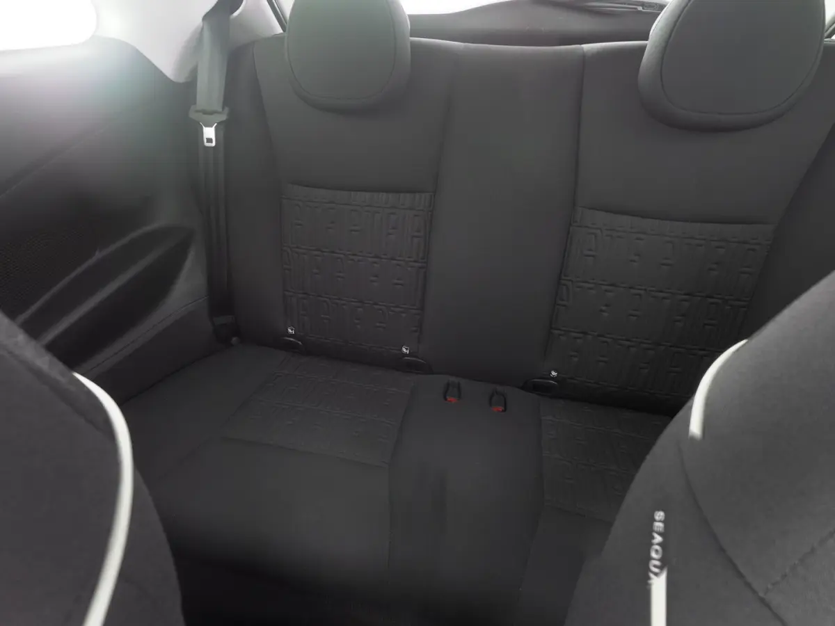 Icon 42 kWh | CARPLAY | ECC | VELGEN | SOH: 95,3% | !