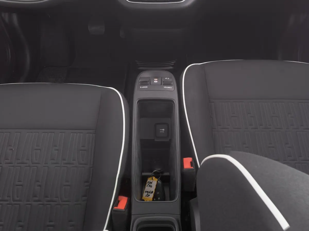 Icon 42 kWh | CARPLAY | ECC | VELGEN | SOH: 95,3% | !