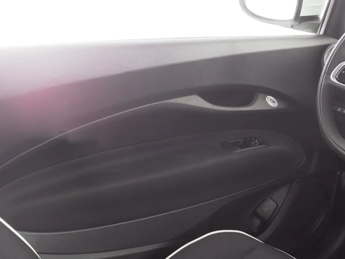 Icon 42 kWh | CARPLAY | ECC | VELGEN | SOH: 95,3% | !