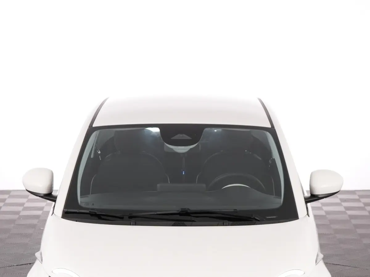 Icon 42 kWh | CARPLAY | ECC | VELGEN | SOH: 95,3% | !