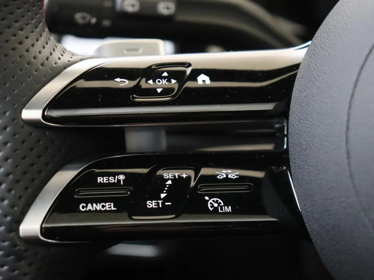 250 e Business Solution AMG /Panoramadak /Night-pakket /8.142 KM!