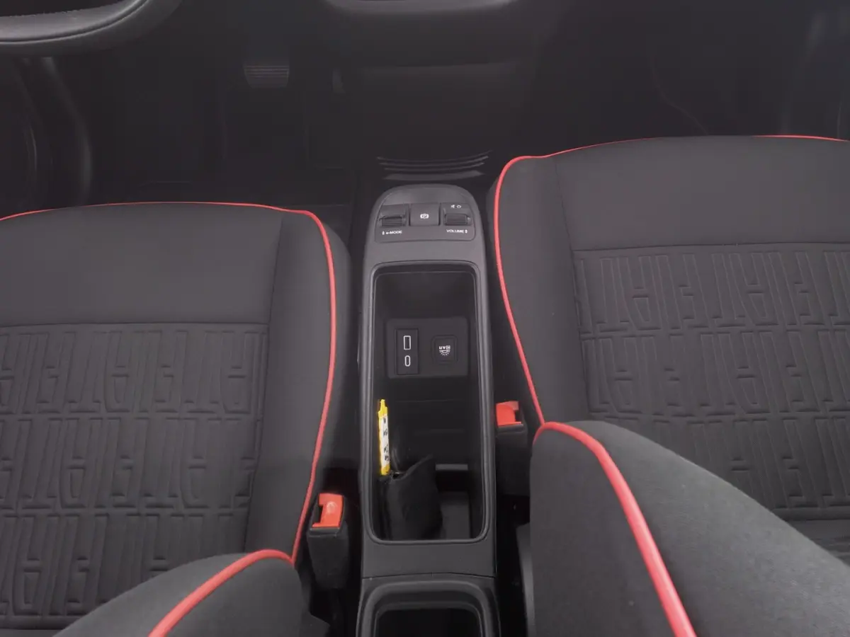 Red 42 kWh | Full LED | CARPLAY | CAMERA | VELGEN | Stoelverwarming | SOH: 94,9% | !