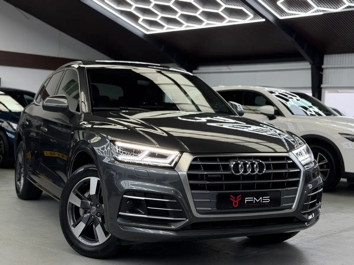 50 TFSI E Quattro 3x S-Line Competition