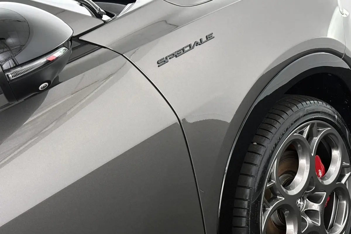 1.3T PHEV Edizione Speciale Panoramadak Leder Stoelventilatie