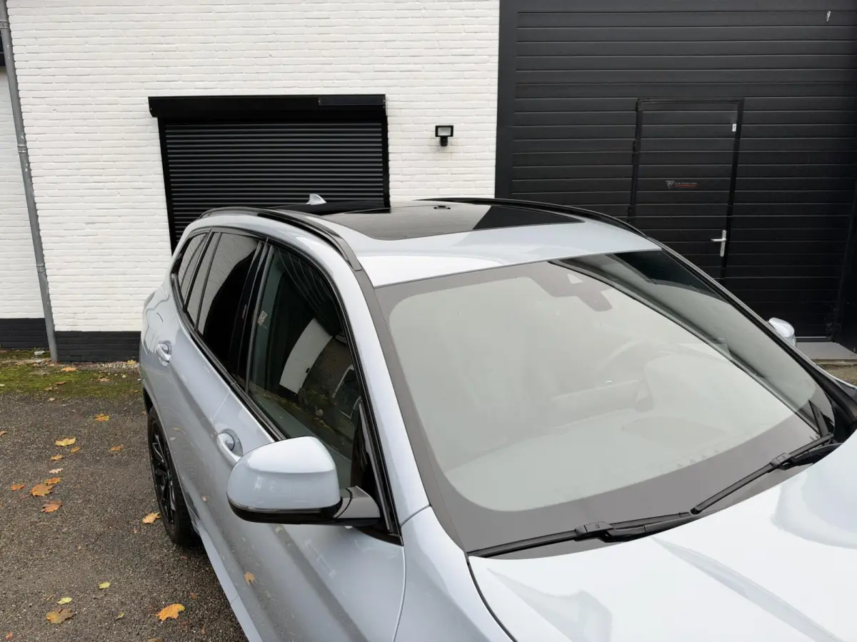xDrive30e High Ex M Sport Memory Sfeer Panorama