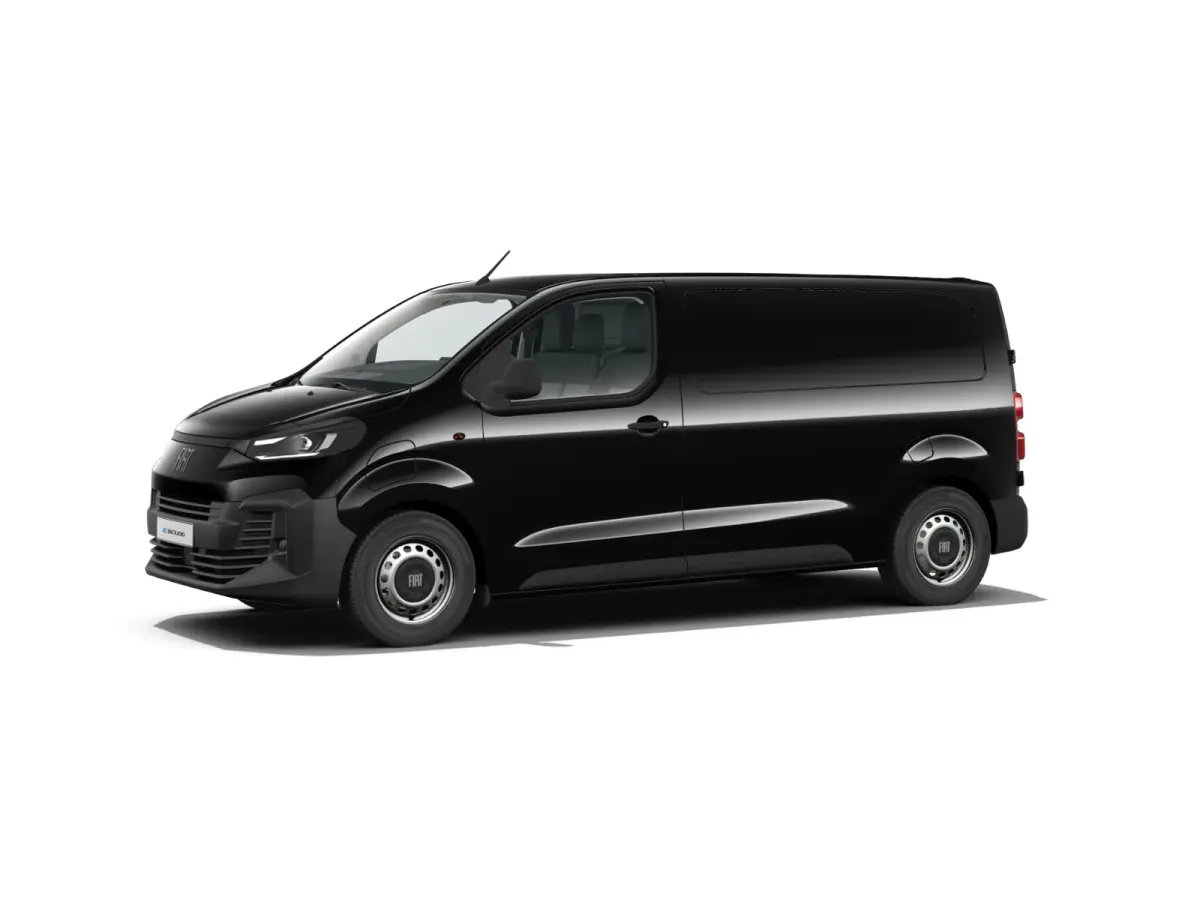 Professional Standaard | ABS met noodremassistentie / ESP en Hill Start Assist | Automatisch inschakelende verlichting en ruitenwissers | Cruise control met snelheidsbegrenzer (bediening ach