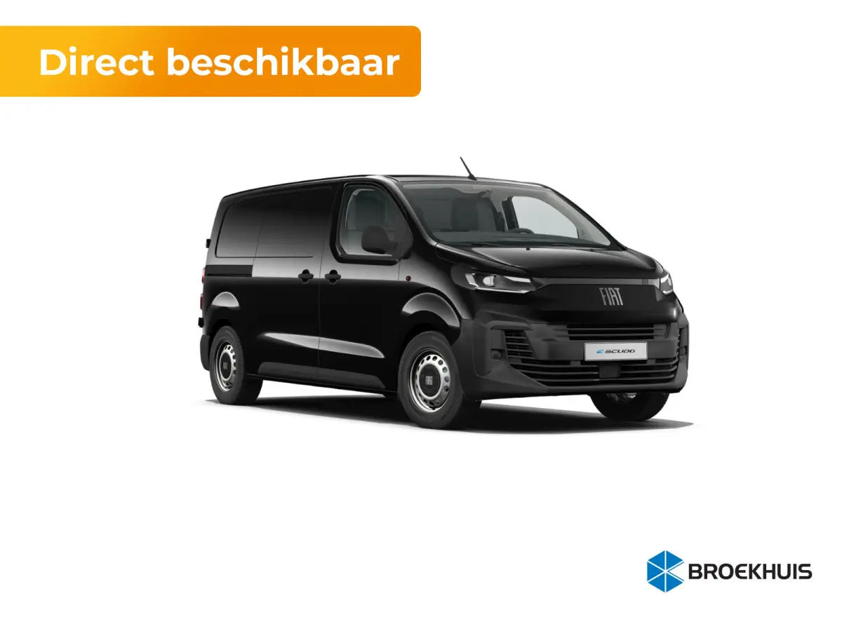 Professional Standaard | ABS met noodremassistentie / ESP en Hill Start Assist | Automatisch inschakelende verlichting en ruitenwissers | Cruise control met snelheidsbegrenzer (bediening ach