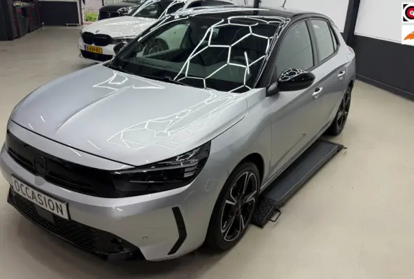 1.2 Sport Pano, Carplay, Cruise Control, achteruit camera
