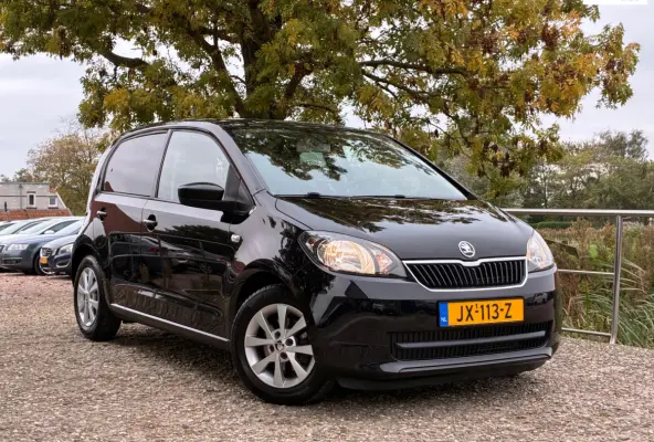 1.0 Greentech Fresh | Navi + Cruise + Airco Nu € 5.975,-!!!