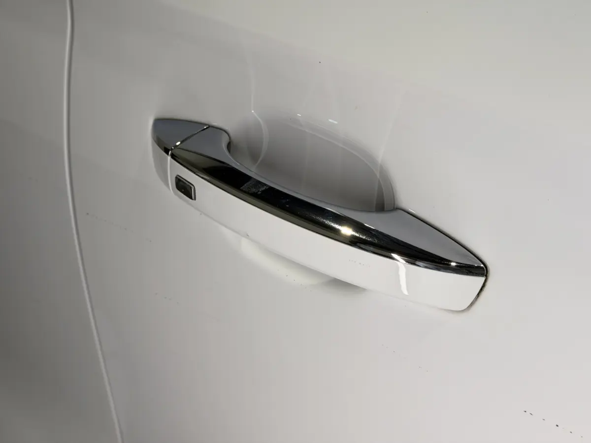 Luxury 45 kWh | Panoramadak | Leder interieur | Keyless | ACC | Apple CarPlay - Android Auto