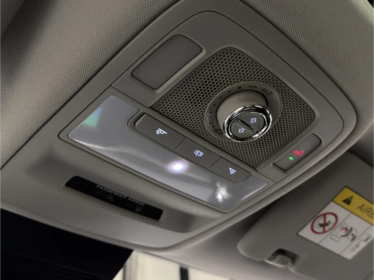 Luxury 45 kWh | Panoramadak | Leder interieur | Keyless | ACC | Apple CarPlay - Android Auto