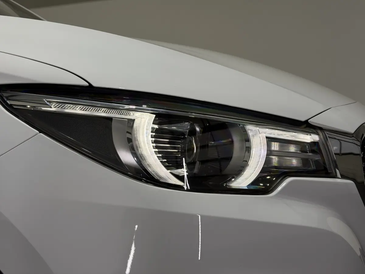 Luxury 45 kWh | Panoramadak | Leder interieur | Keyless | ACC | Apple CarPlay - Android Auto