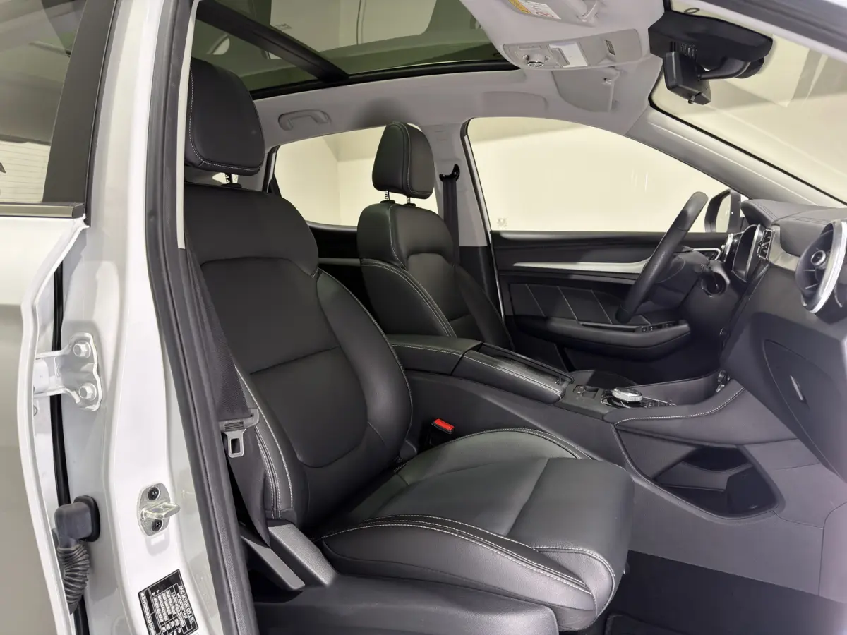 Luxury 45 kWh | Panoramadak | Leder interieur | Keyless | ACC | Apple CarPlay - Android Auto