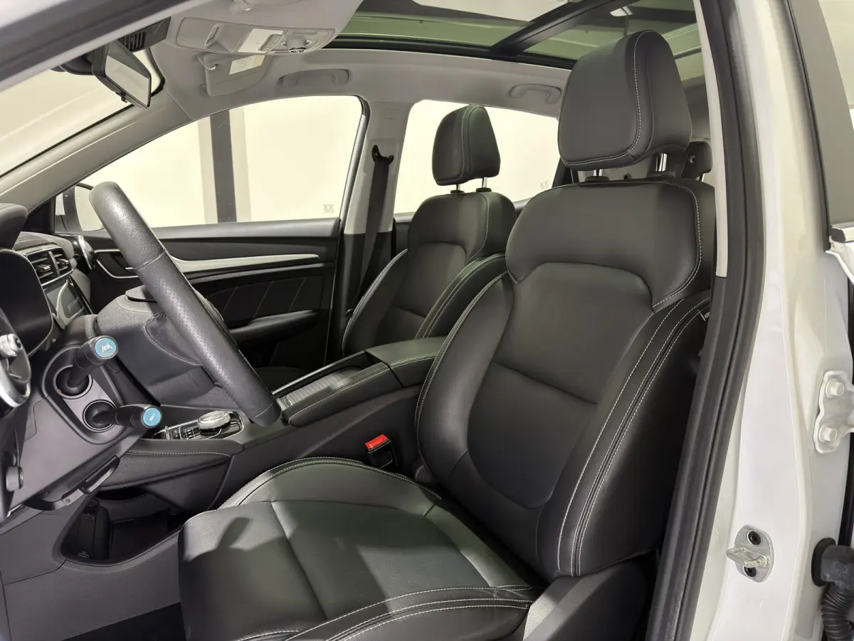 Luxury 45 kWh | Panoramadak | Leder interieur | Keyless | ACC | Apple CarPlay - Android Auto