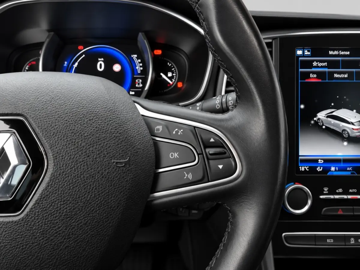 1.3 TCe Bose | Trekhaak | Groot Navigatie Scherm | Dodehoek Detectie | Camera | Cruise Control | Climate Control | Sfeerverlichting