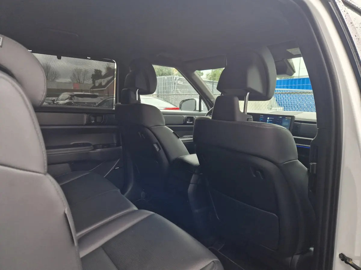 1.6 T-GDI PHEV Black Line 4WD 7p