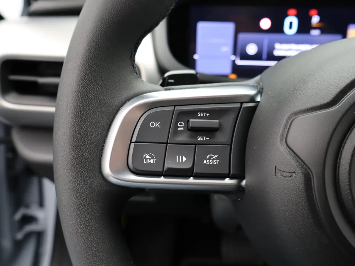 1.2 e-Hybrid Summit | Apple Carplay/Android Auto | Camera | Premium Audio | Parkeersensoren Voor en Achter | Keyless  | Navigatie | 18" Lichtmetalen Velgen | Adaptieve Cruise Control | Dualz