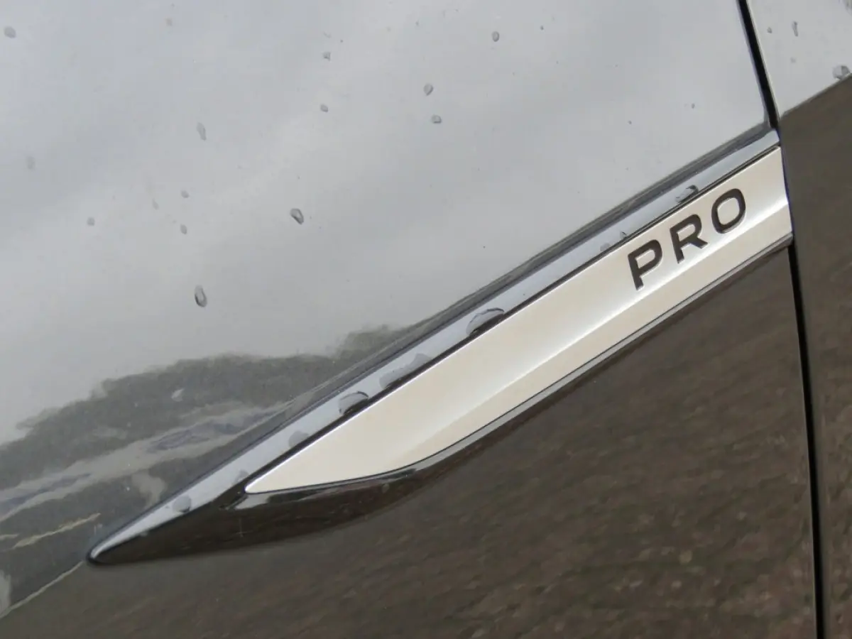 PRO ED. ADV. 58 KWH / soh 93% / Stoel&stuurverw. / Camera / Half leder / BOVAG garantie