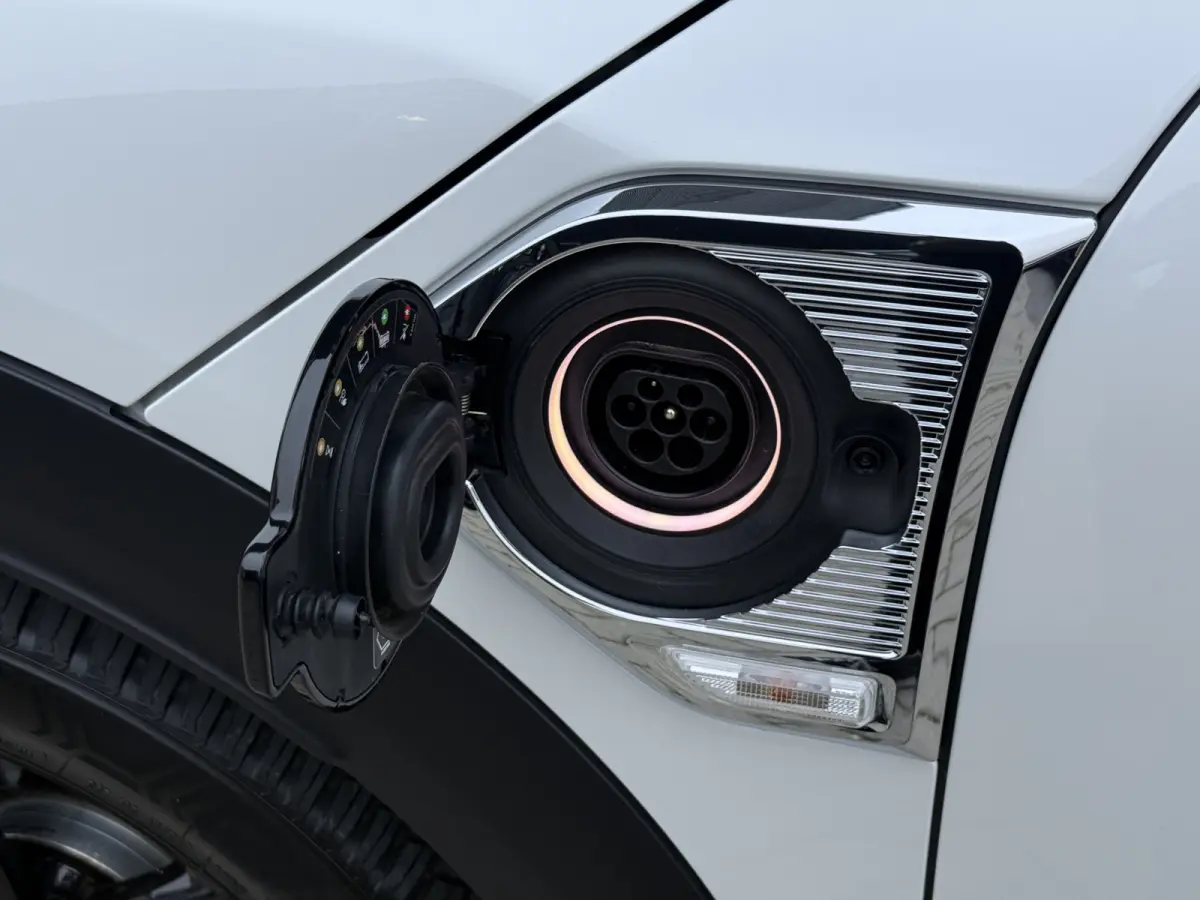 1.5 Cooper SE ALL4 Leder/Elec stoel/Camera