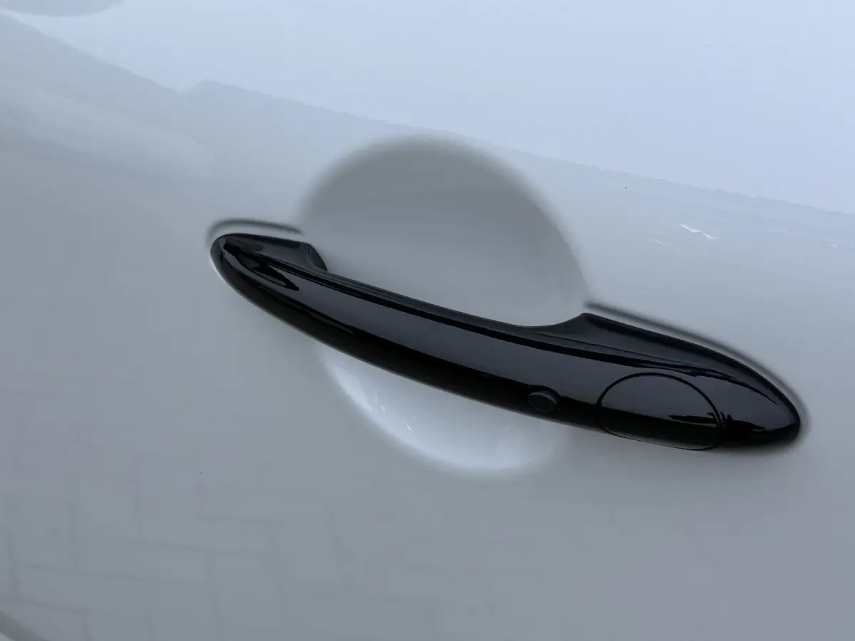 1.5 Cooper SE ALL4 Leder/Elec stoel/Camera