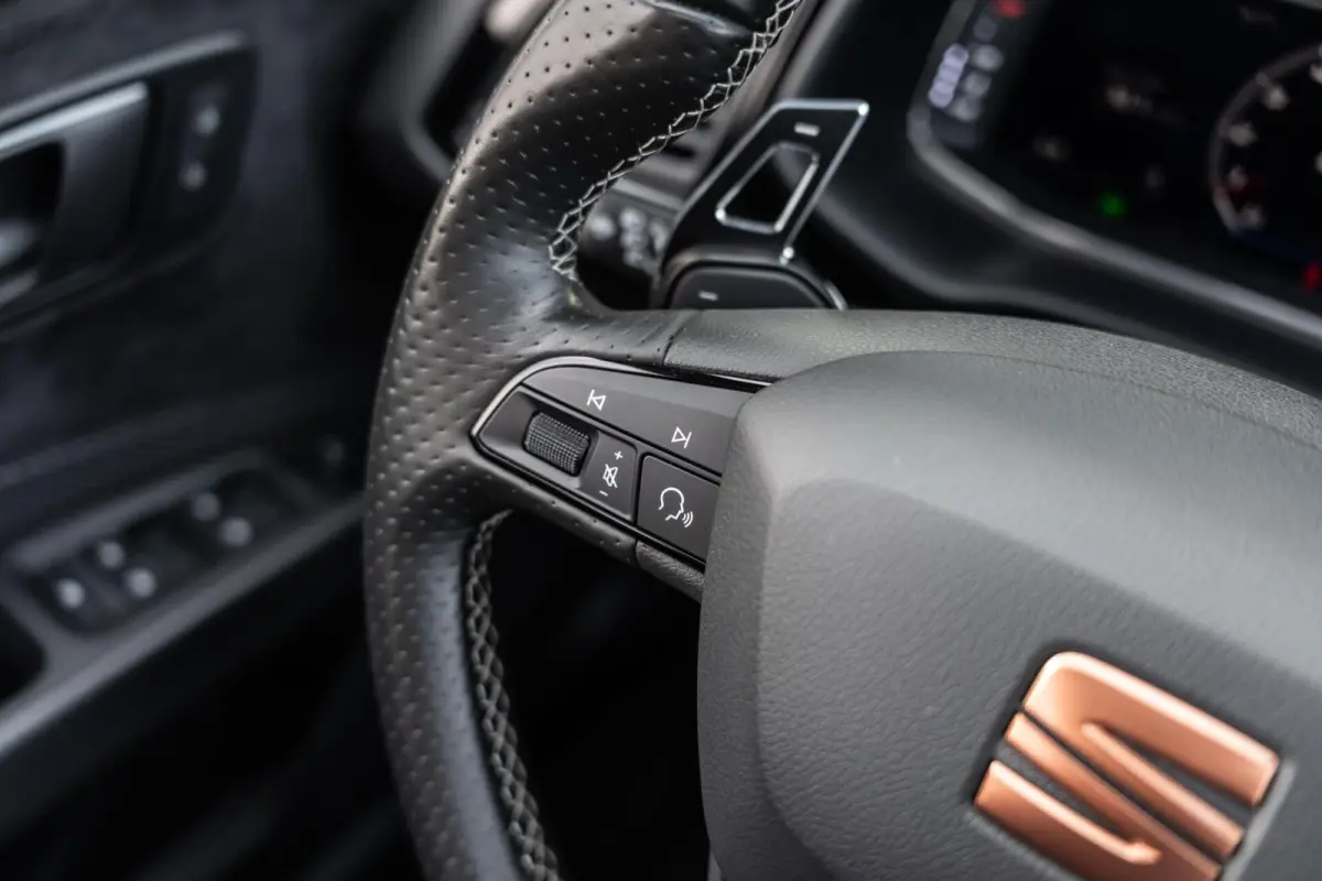 2.0 TSI CUPRA Ultimate Edition Pano Beats Schaalst
