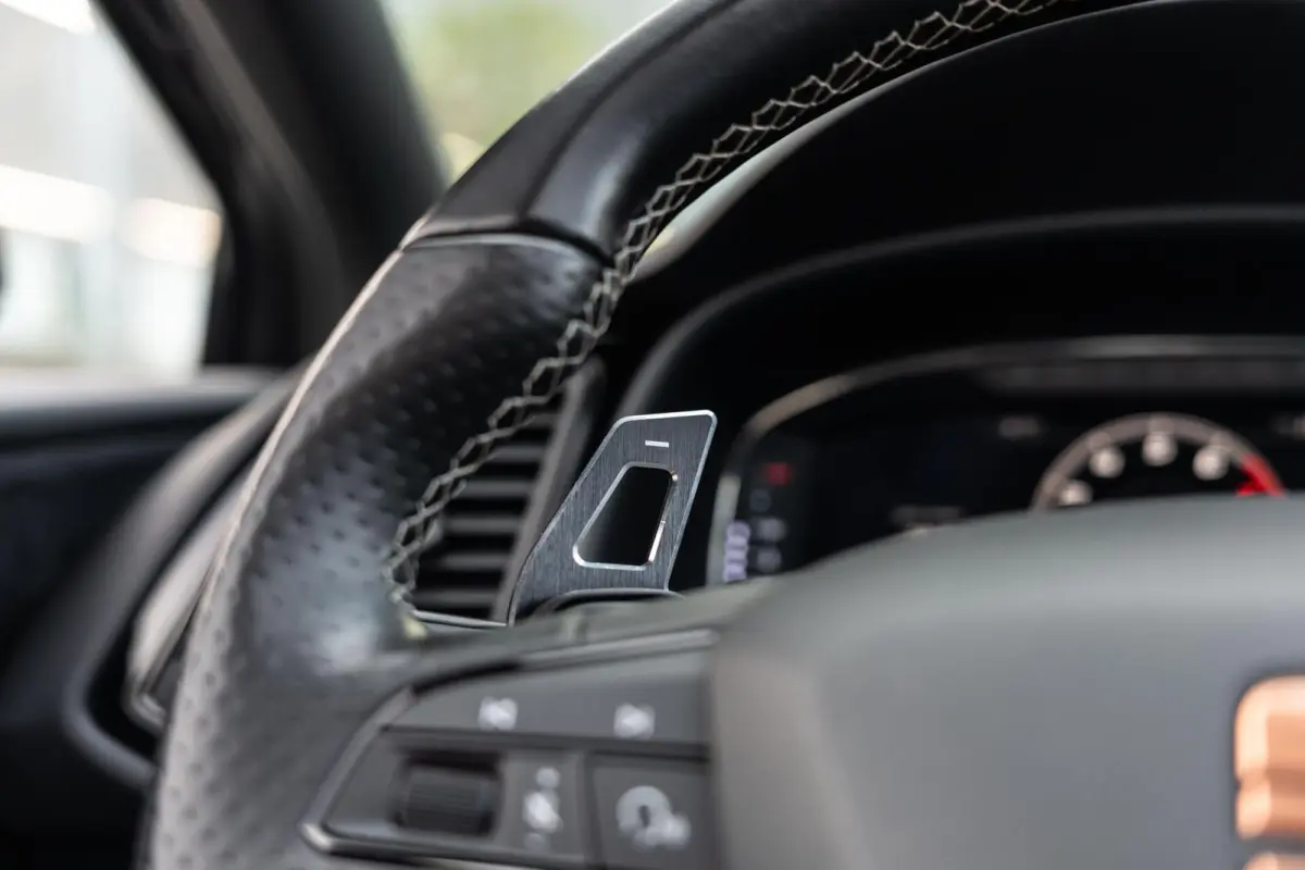 2.0 TSI CUPRA Ultimate Edition Pano Beats Schaalst