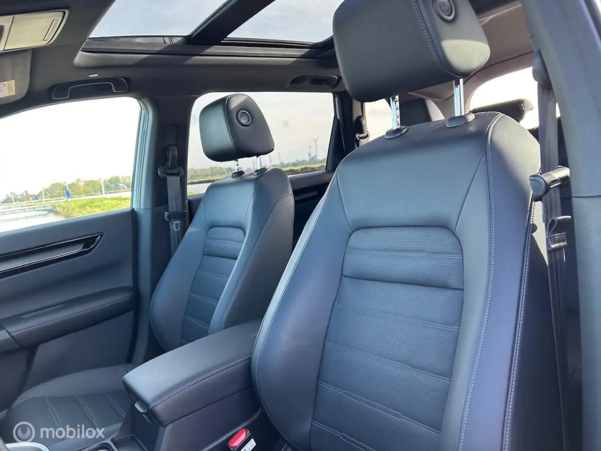 2.0 e:PHEV Advance El. Schuif/Kanteldak | Bose | Navi |