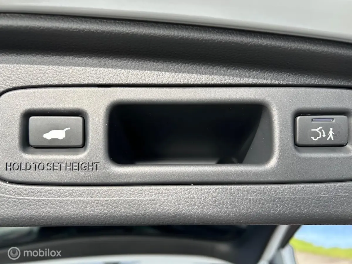 2.0 e:PHEV Advance El. Schuif/Kanteldak | Bose | Navi |
