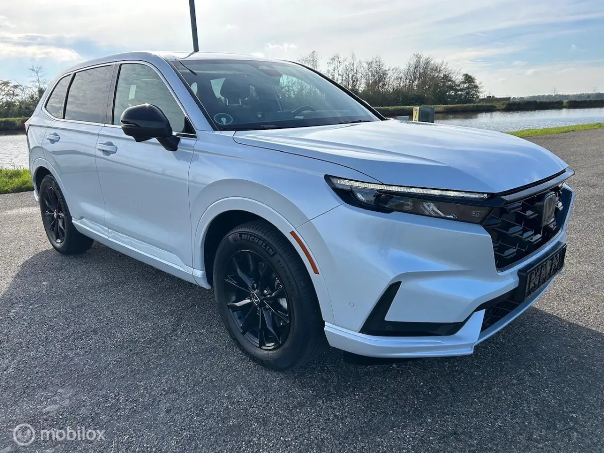 2.0 e:PHEV Advance El. Schuif/Kanteldak | Bose | Navi |
