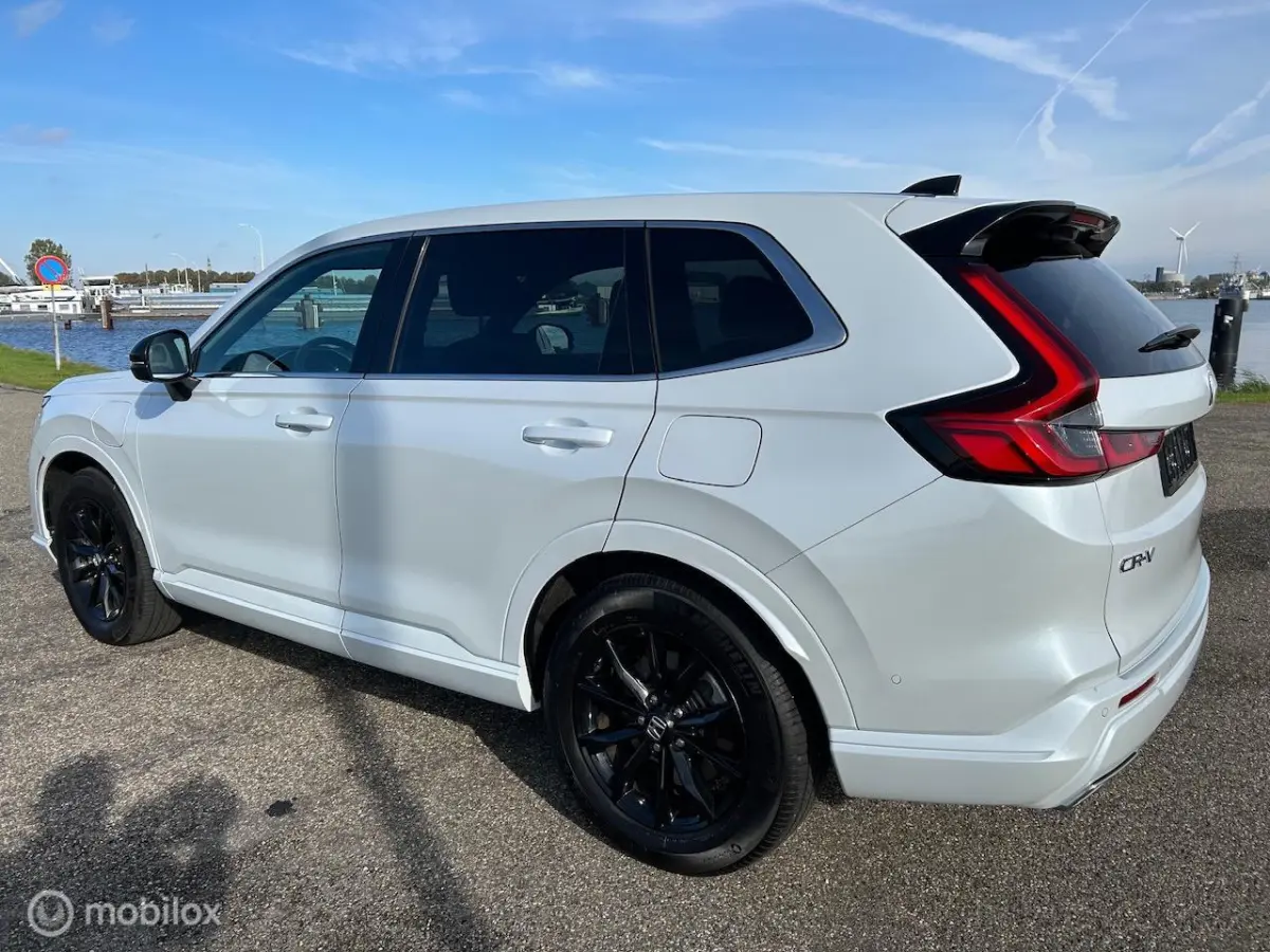 2.0 e:PHEV Advance El. Schuif/Kanteldak | Bose | Navi |