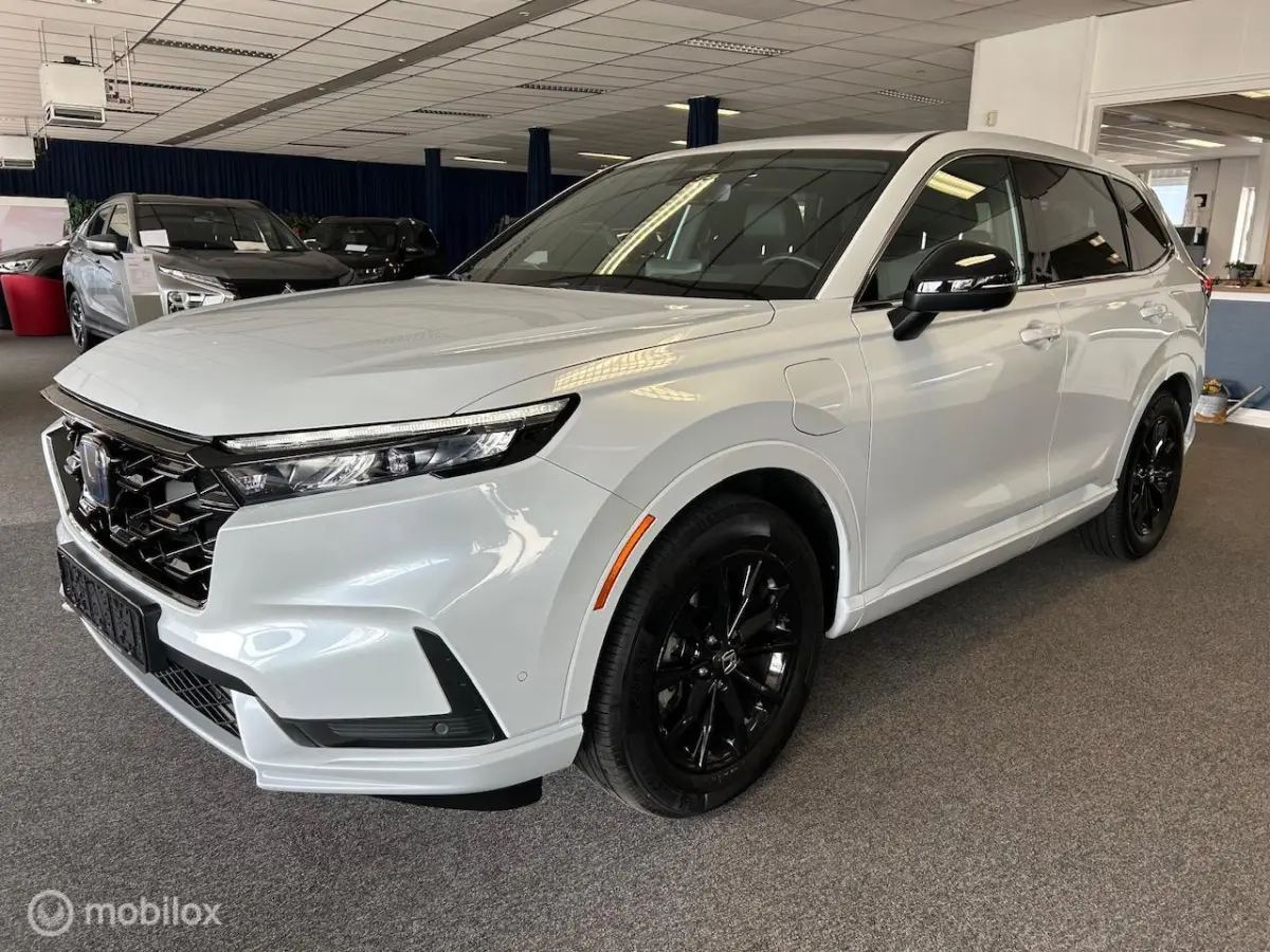 2.0 e:PHEV Advance El. Schuif/Kanteldak | Bose | Navi |