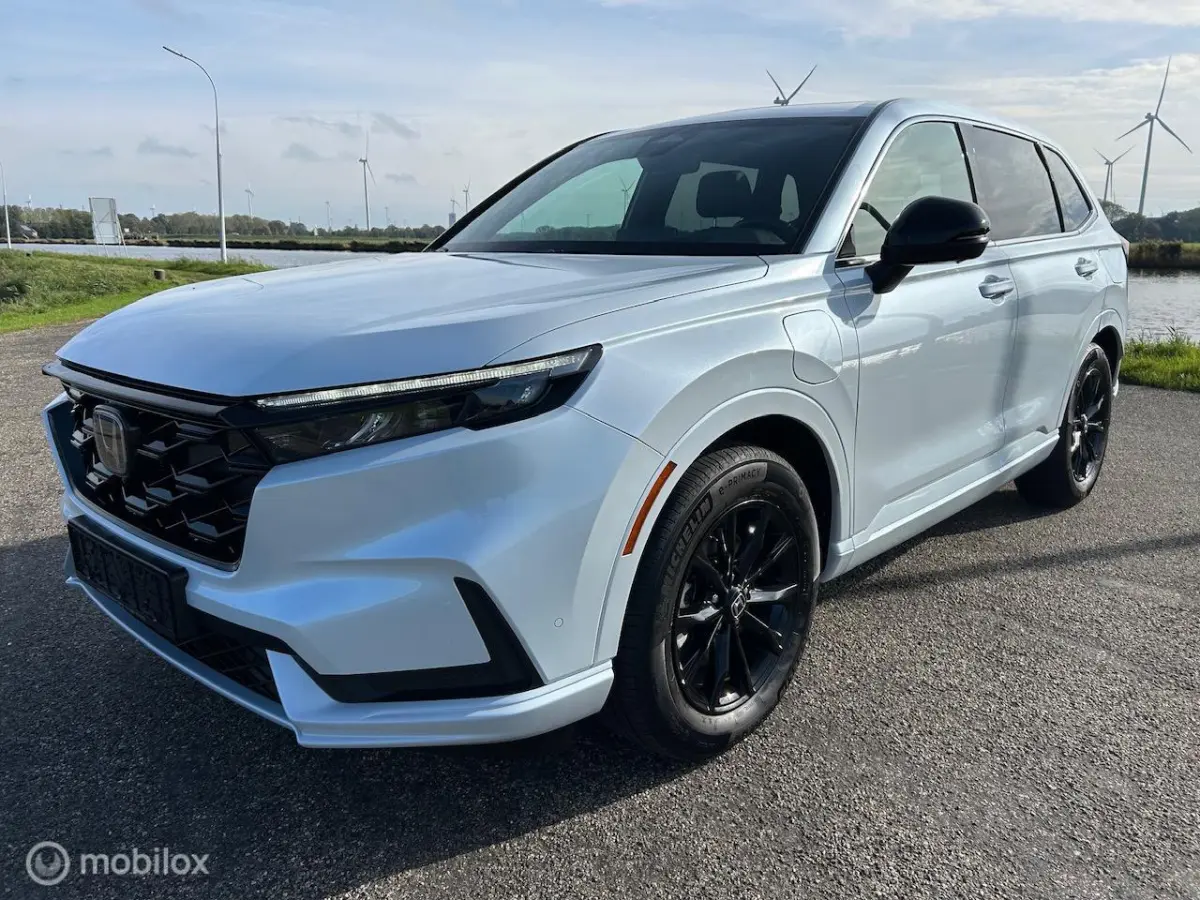 2.0 e:PHEV Advance El. Schuif/Kanteldak | Bose | Navi |