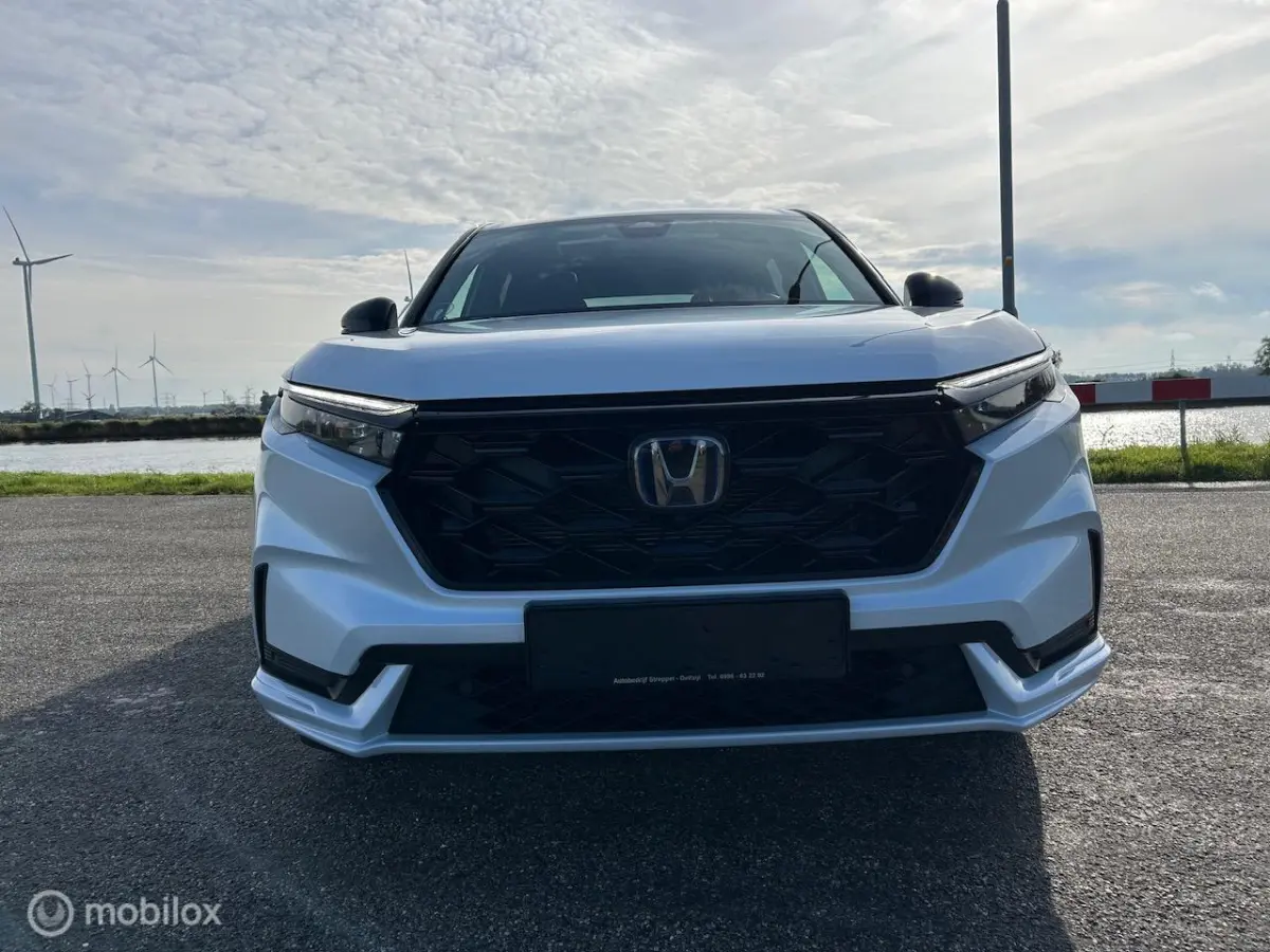 2.0 e:PHEV Advance El. Schuif/Kanteldak | Bose | Navi |