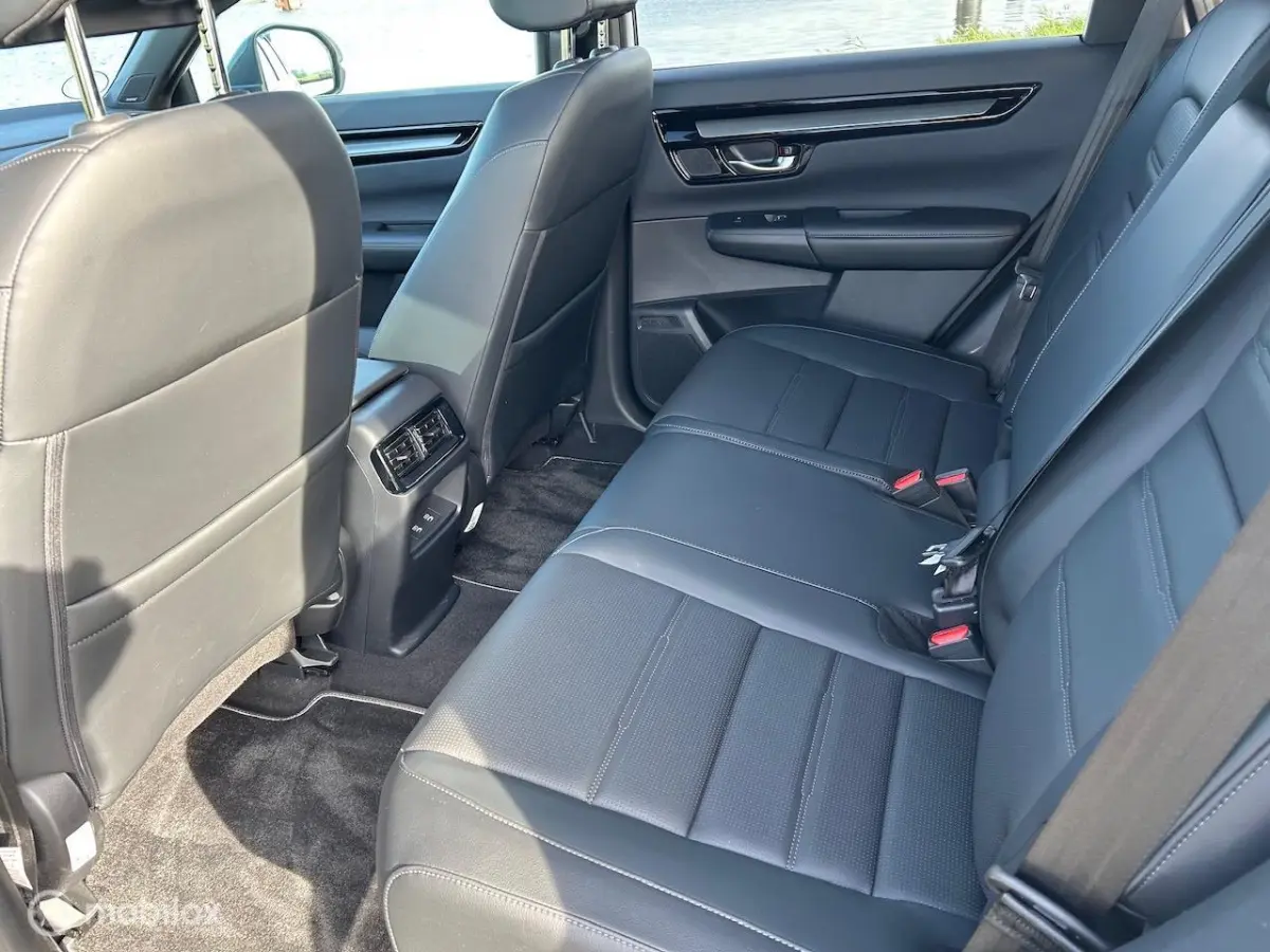 2.0 e:PHEV Advance El. Schuif/Kanteldak | Bose | Navi |