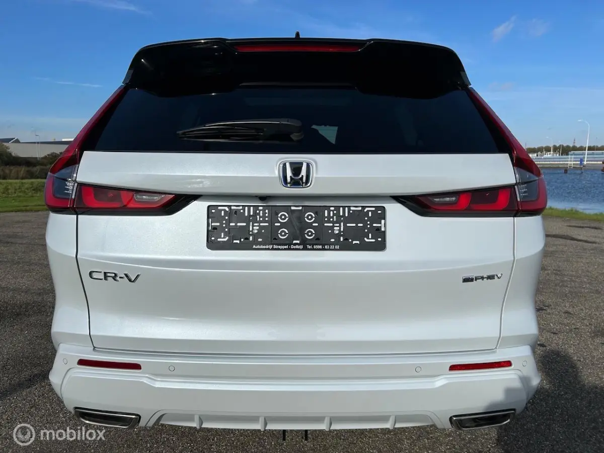2.0 e:PHEV Advance El. Schuif/Kanteldak | Bose | Navi |