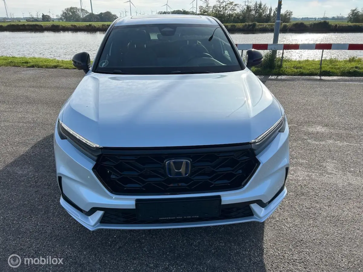2.0 e:PHEV Advance El. Schuif/Kanteldak | Bose | Navi |